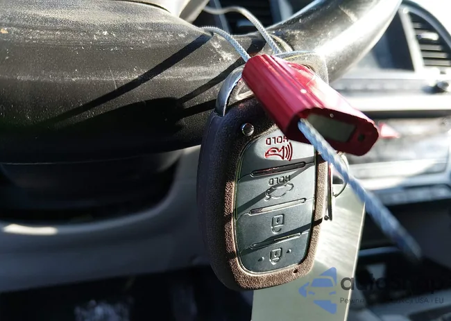 5NPD84LF6JH238490: 44203597