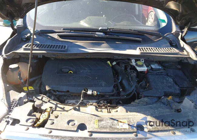 1FMCU0JD0HUD09812: 44203719