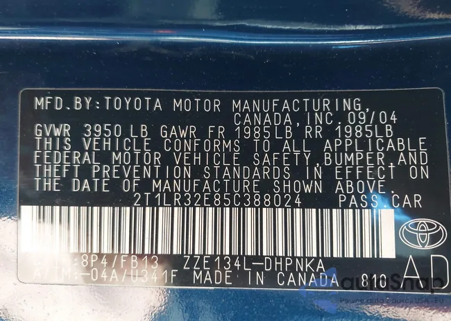 2T1LR32E85C388024: 44203800