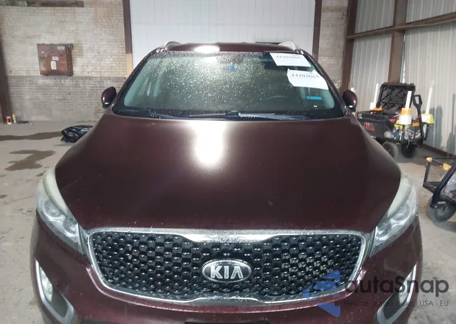 5XYPH4A14GG164507: 44203065