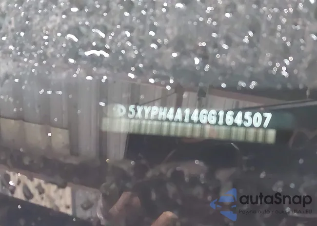 5XYPH4A14GG164507: 44203065