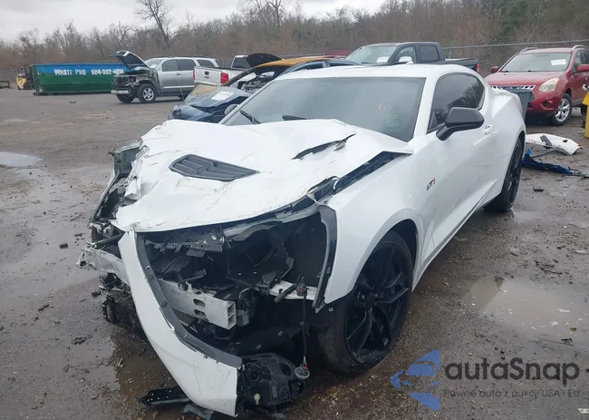 1G1FF1R70P0149008: 44203105