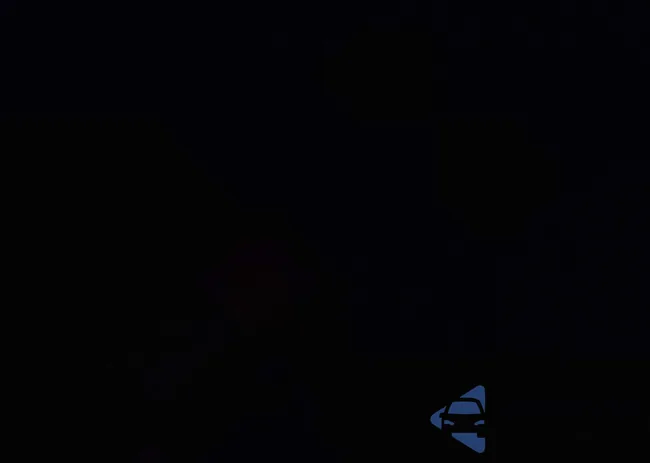 1N4AA5AP5EC455125: 44203115