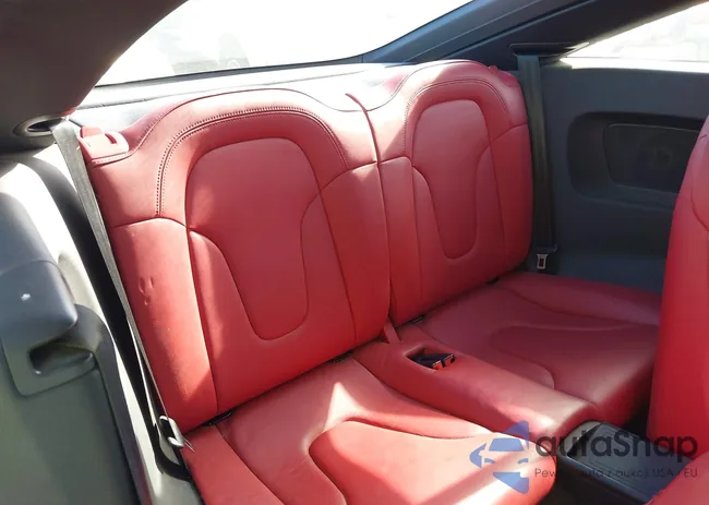 TRUBFAFK0E1003302: 44203169