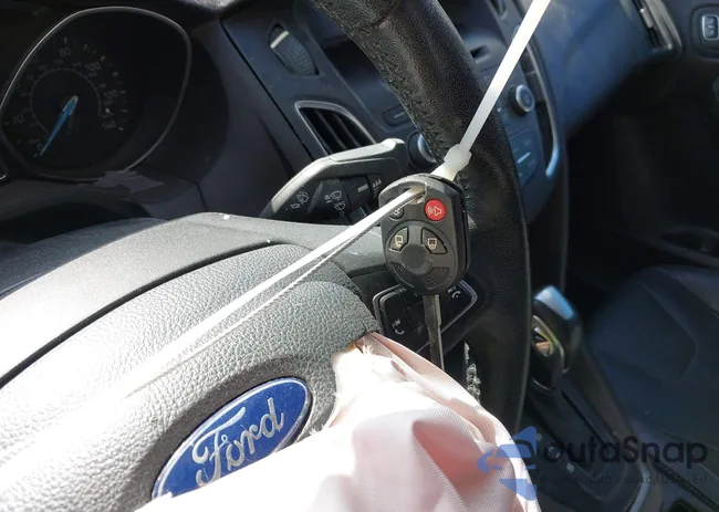 1FADP3F20GL383119: 44203232