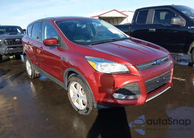 1FMCU9G98GUC72529: 44203294