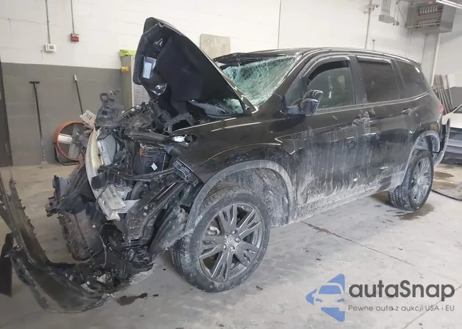 5FNYF8H50MB021230: 44203317