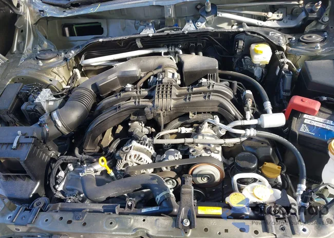 JF2SKACC5RH461676: 44204603