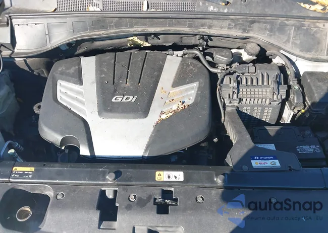 KM8SM4HFXGU138446: 44204635