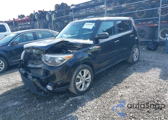 KNDJP3A51G7325656: 44204848