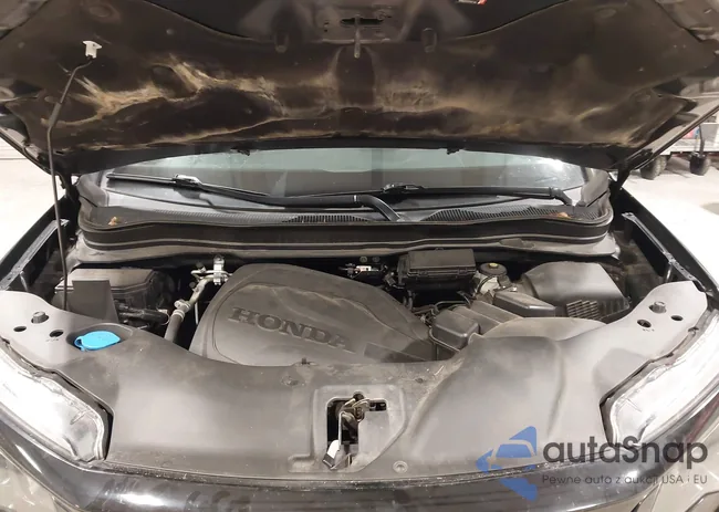 5FNYF5H24MB036009: 44204898