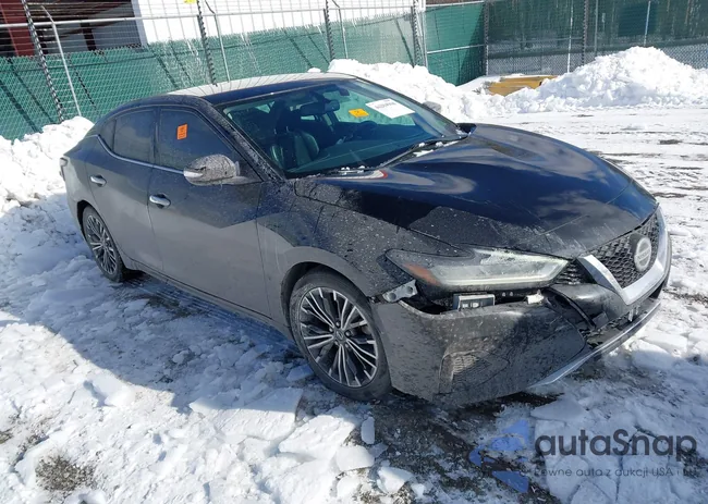 1N4AA6AV7KC381335: 44204960