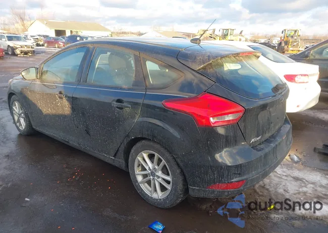 1FADP3K29FL310979: 44204984