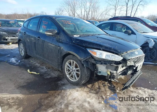 1FADP3K29FL310979: 44204984