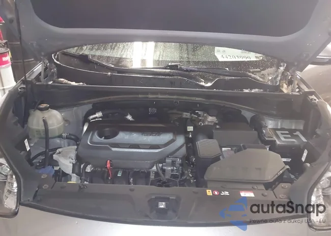 KNDP6CAC4M7845115: 44203999