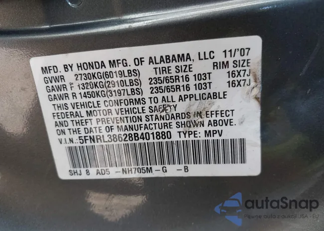 5FNRL38628B401880: 44205464