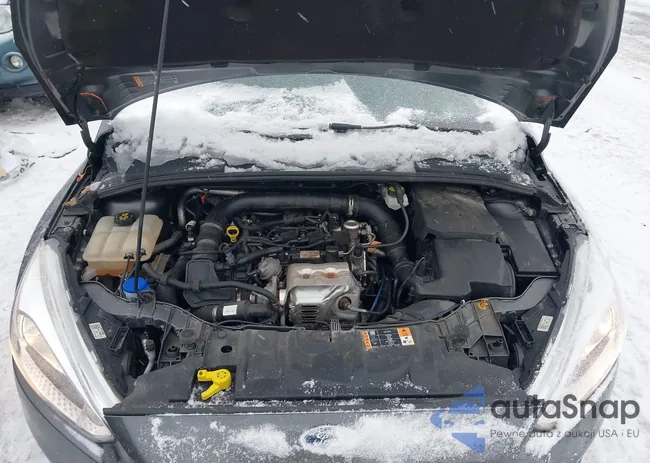 1FADP3FEXJL233942: 44205495