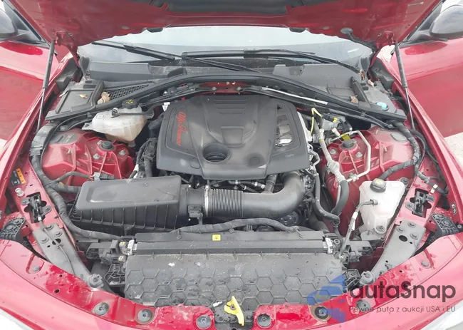 ZARFAMBN9N7660744: 44205609