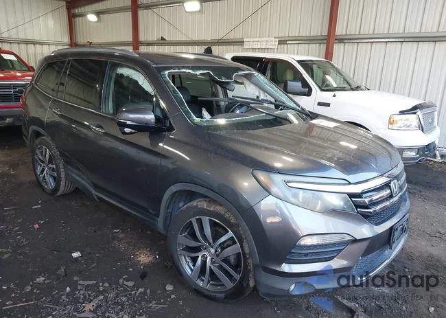 5FNYF5H99HB024232: 44205648