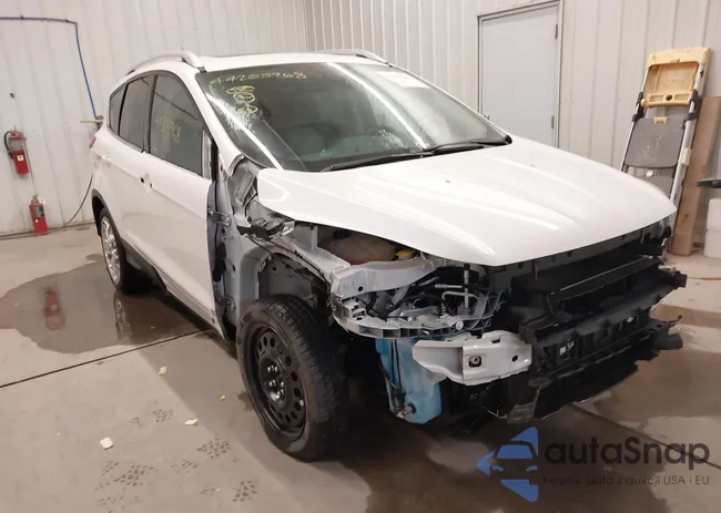 1FMCU9J92FUB17806: 44205968