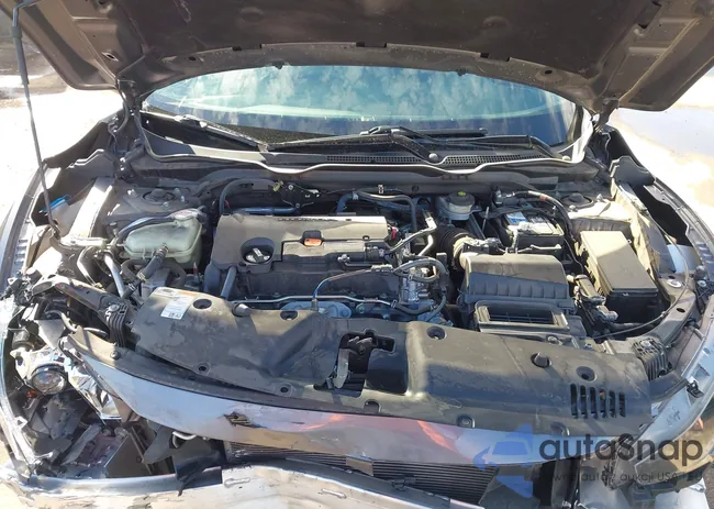 19XFC2F66KE035256: 44206605