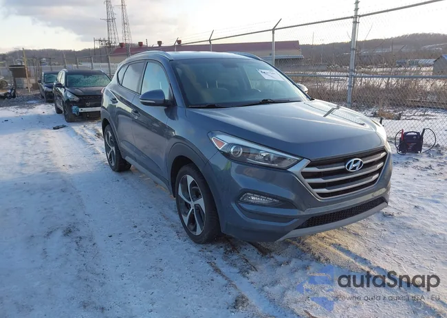 KM8J3CAL2JU725384: 44207566