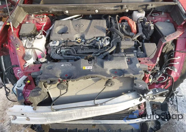 4T3RWRFV4RU137299: 44207694