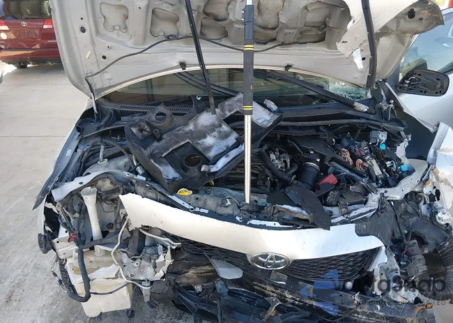 2T1BU40E49C027981: 44207736