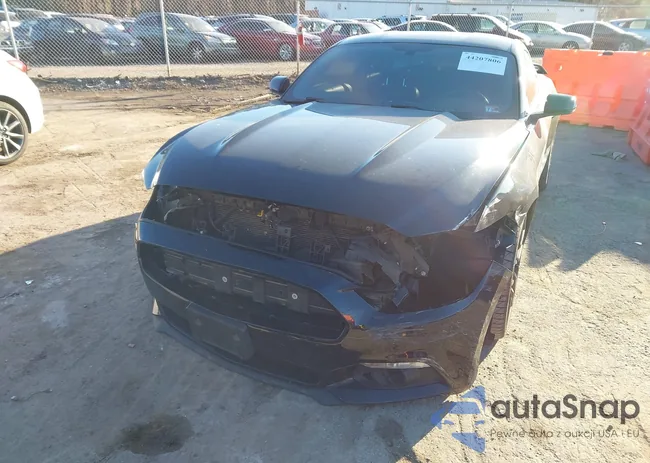 1FA6P8TH0G5251528: 44207806