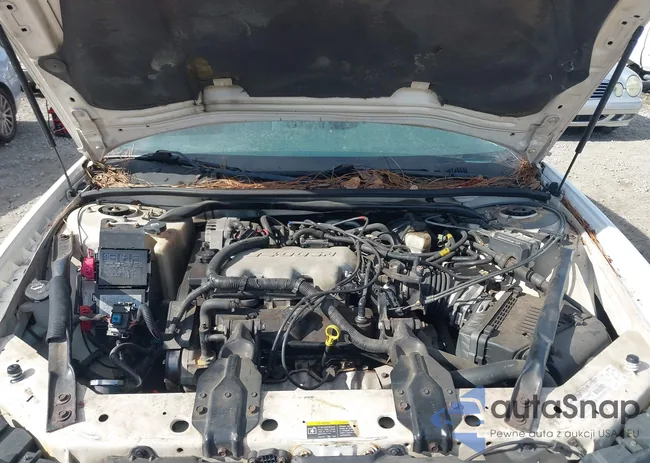 2G1WF55E139101528: 44206991