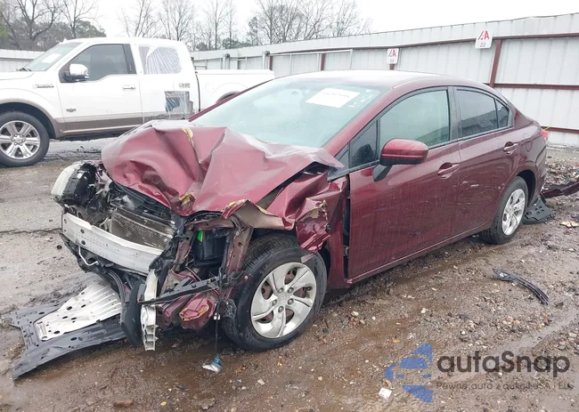 19XFB2F55EE213530: 44207195