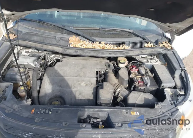 1FM5K7D87DGC25551: 44207196