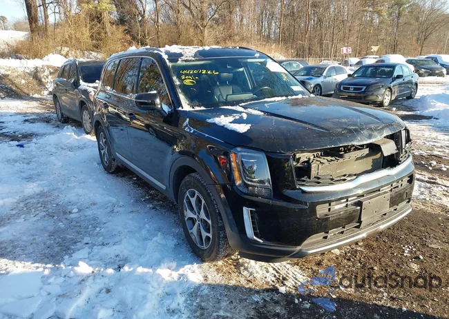 5XYP3DHC6LG028895: 44207226