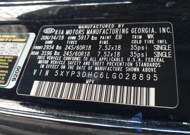 5XYP3DHC6LG028895: 44207226