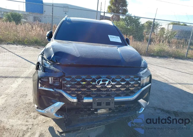 5NMS5DAL7MH323641: 44207246