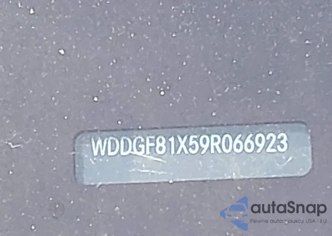 WDDGF81X59R066923: 44207320
