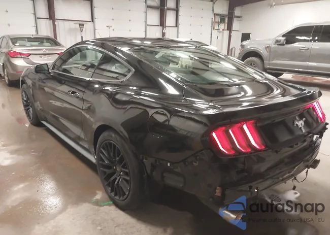 1FA6P8AM5F5358556: 44208223