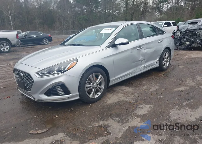 5NPE34AF8KH788376: 44208285