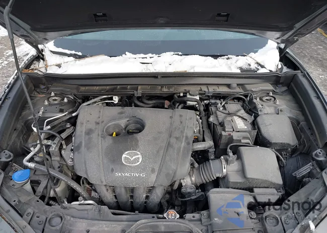 3MVDMBBL8NM400027: 44209814