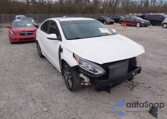 3KPF34AD7KE063696: 44209862