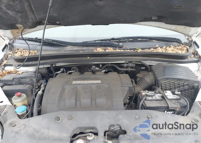 5FNRL38726B462278: 44210784