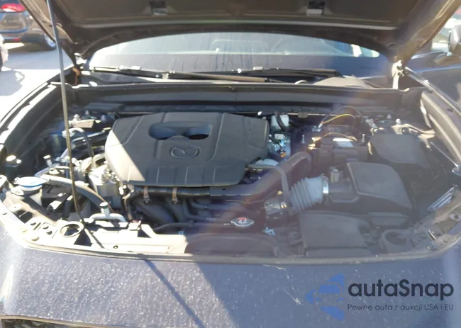 3MVDMBAM1RM699036: 44209980