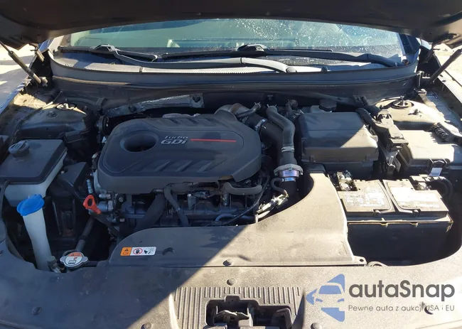 5NPE34AB5HH556324: 44210367