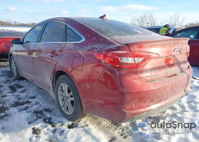 5NPE24AF2FH175341: 44211561