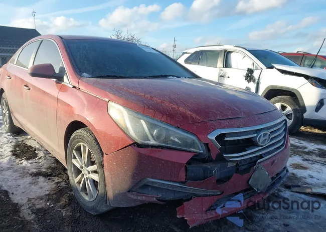 5NPE24AF2FH175341: 44211561