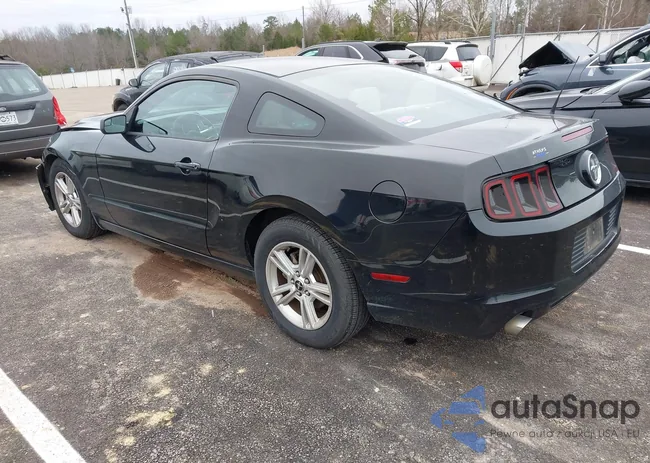 1ZVBP8AM0E5305543: 44211158