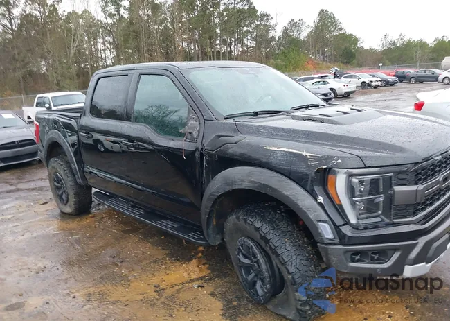 1FTFW1RG4PFD10982: 44211201