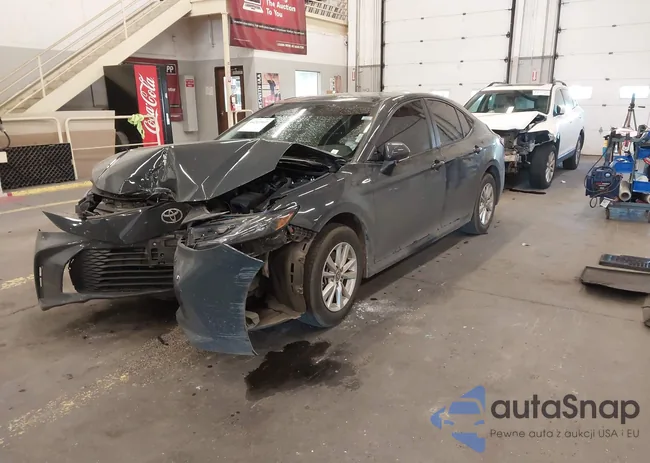 4T1DBADK8SU032196: 44213569