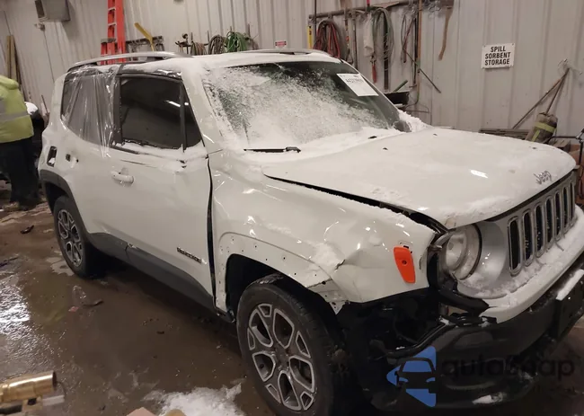 ZACCJBDB1JPH57132: 44213919