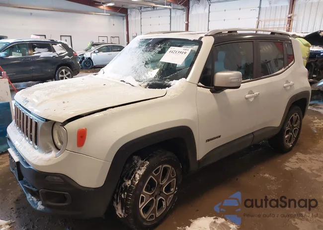 ZACCJBDB1JPH57132: 44213919